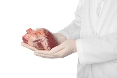 Doctor holding heart on white background, closeup