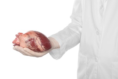 Doctor holding heart on white background, closeup