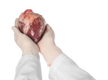 Doctor holding heart on white background, closeup