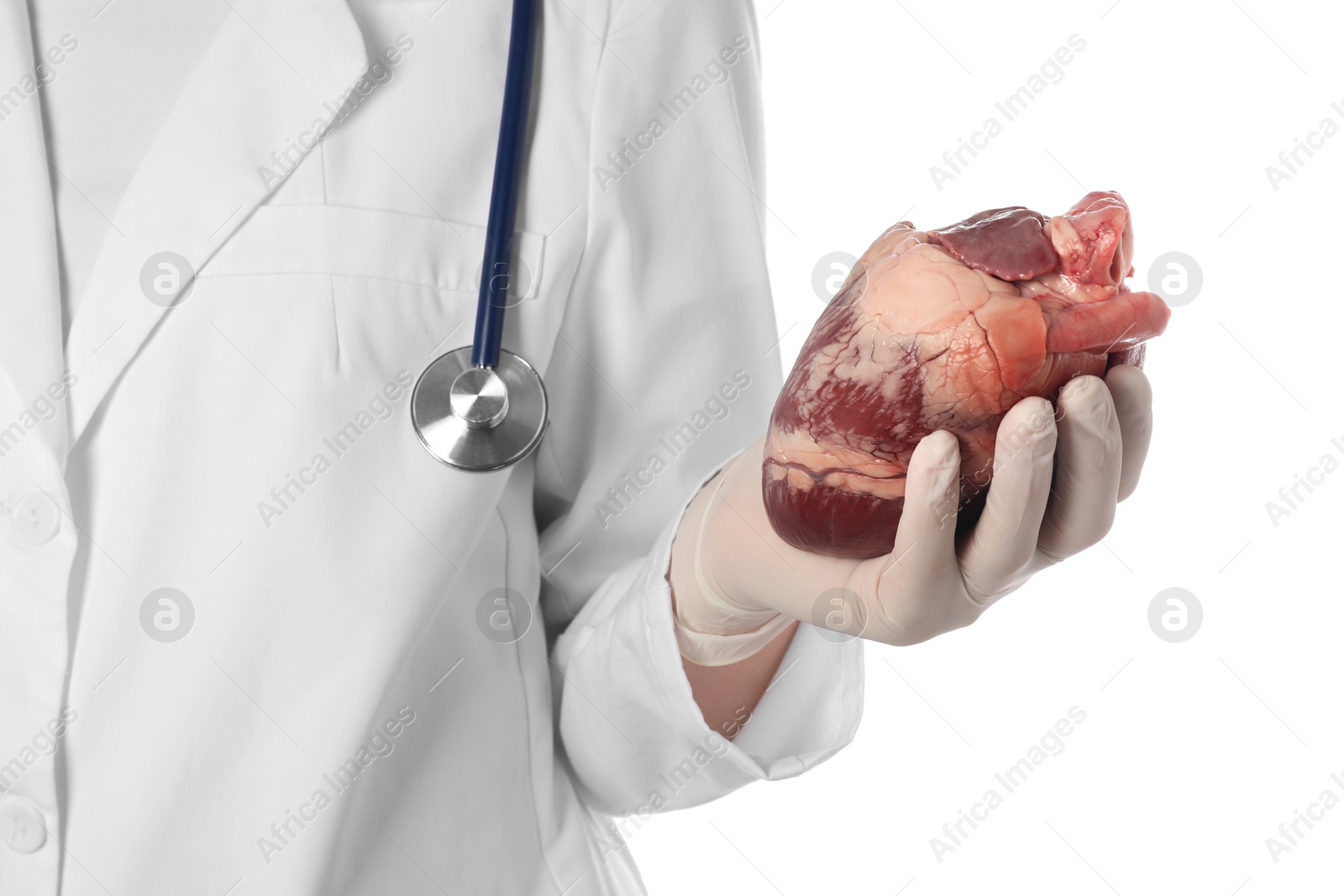 Photo of Doctor with heart on white background, closeup