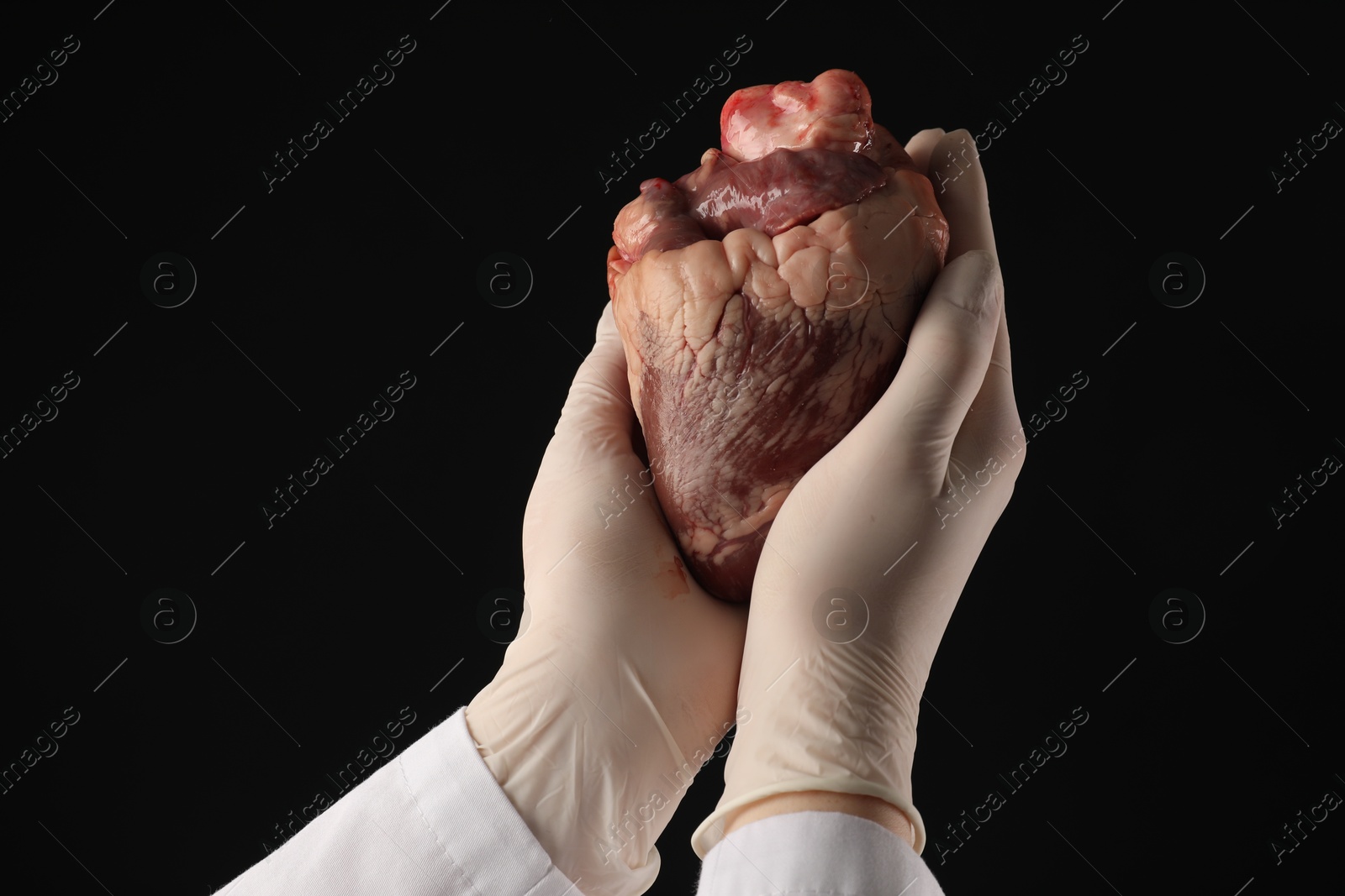 Photo of Doctor with heart on black background, closeup