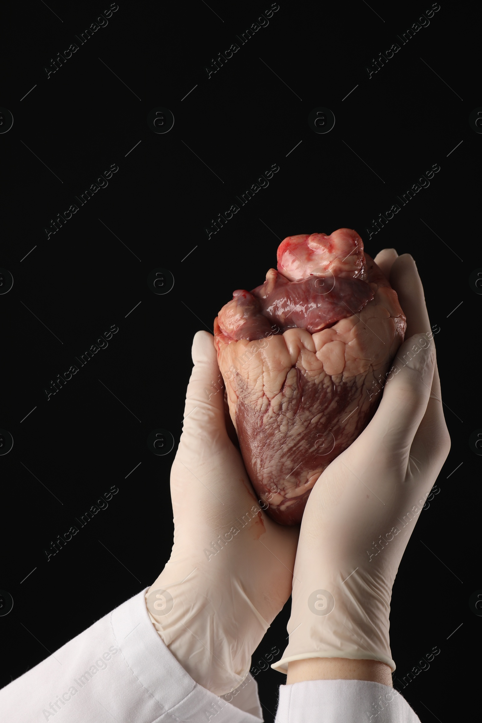 Photo of Doctor with heart on black background, closeup