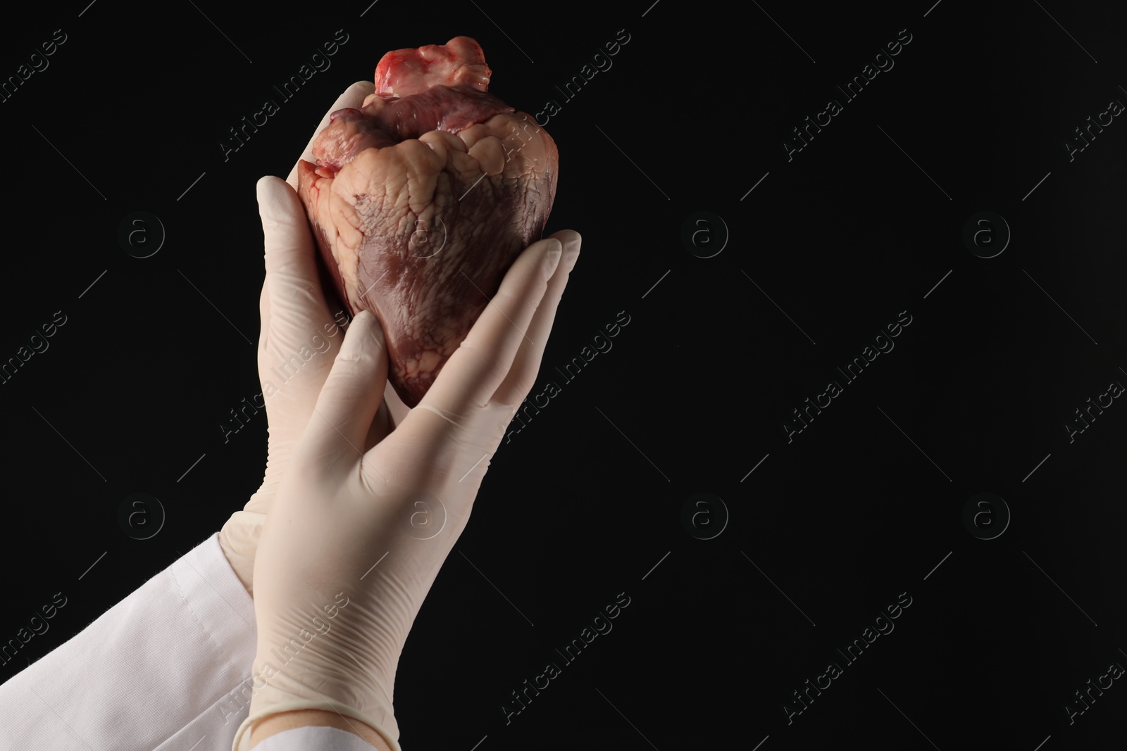 Photo of Doctor with heart on black background, closeup. Space for text