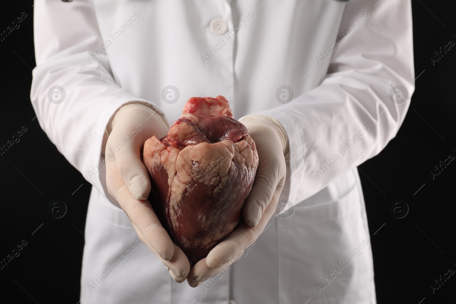 Photo of Doctor with heart on black background, closeup