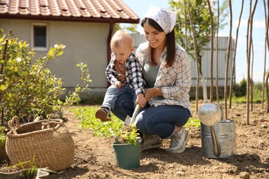 Photo of Mother and her cute son planting tree together in garden