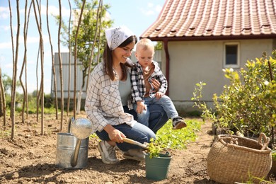 Mother and her cute son planting tree together in garden