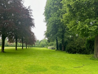 Picturesque view of trees and green grass in park