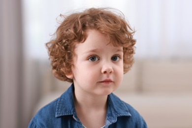 Portrait of little boy indoors. Cute child