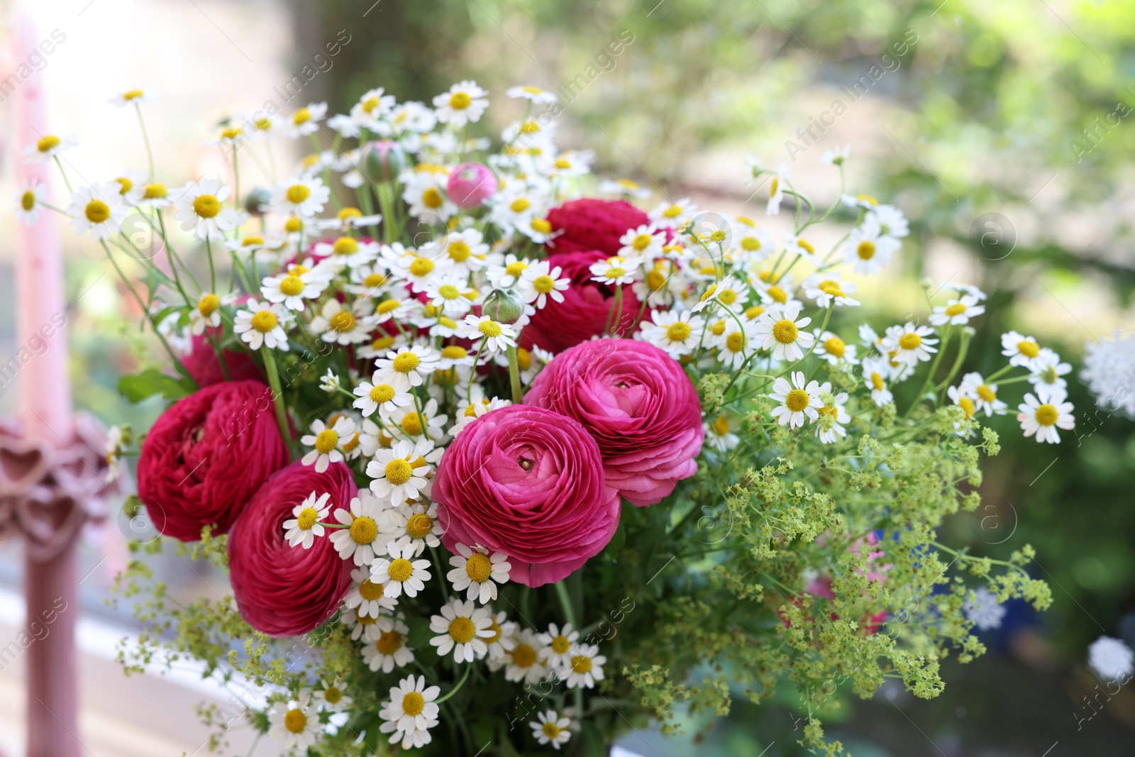 Photo of Beautiful ranunculus flowers and chamomiles near window indoors