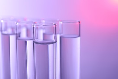 Many glass test tubes on color background, closeup