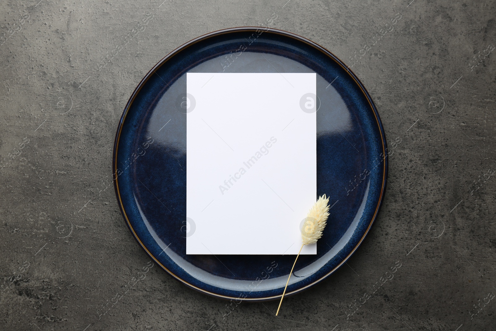 Photo of Empty menu, plate and dry spike on grey table, top view. Mockup for design