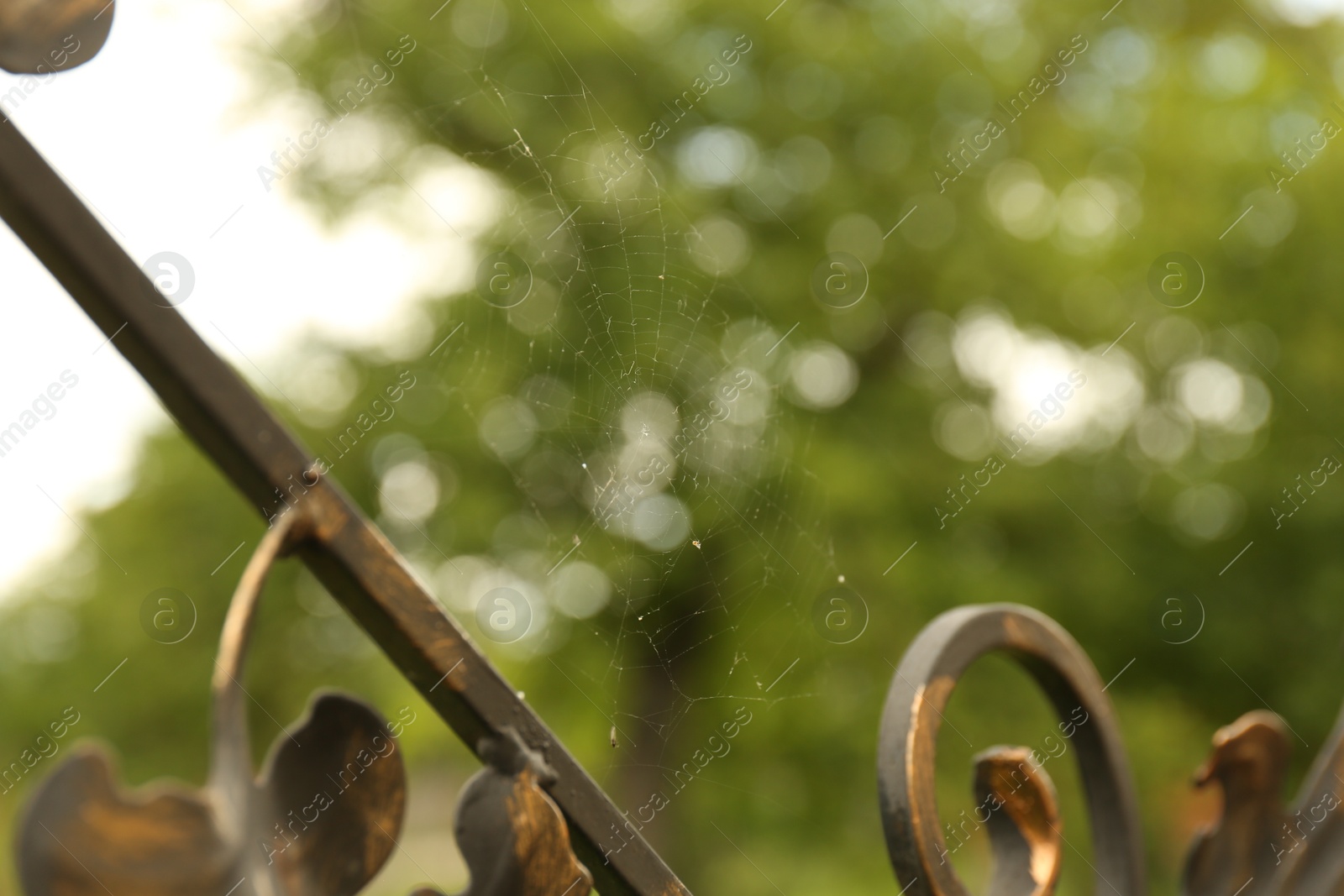 Photo of Cobweb on wrought iron fence scrolls outdoors, closeup