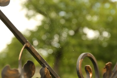 Cobweb on wrought iron fence scrolls outdoors, closeup