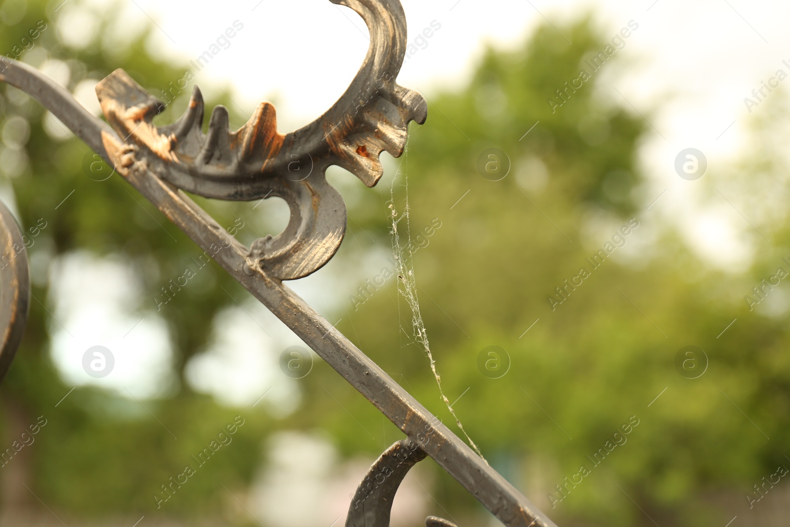 Photo of Cobweb on wrought iron fence scrolls outdoors, closeup. Space for text