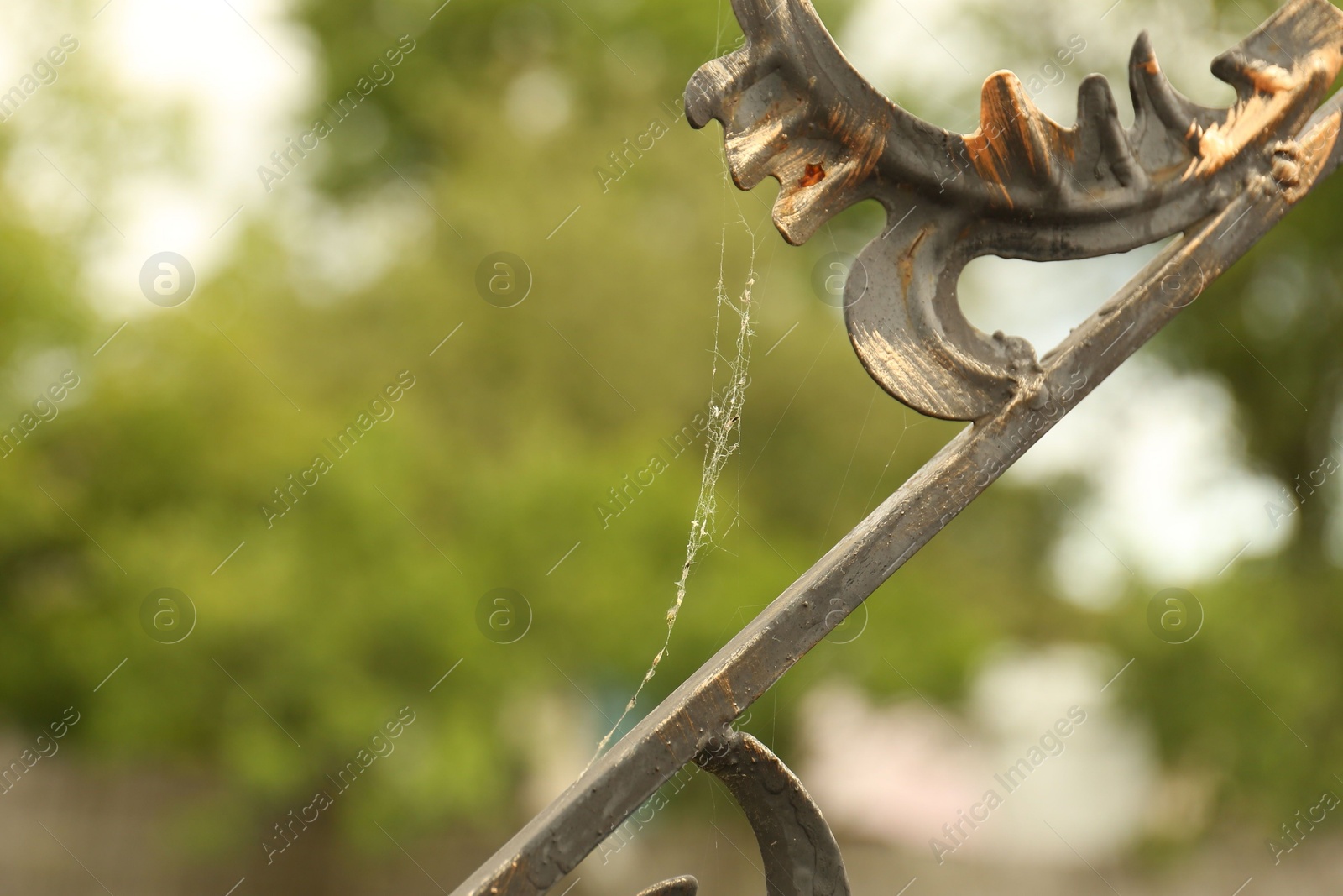 Photo of Cobweb on wrought iron fence scrolls outdoors, closeup. Space for text