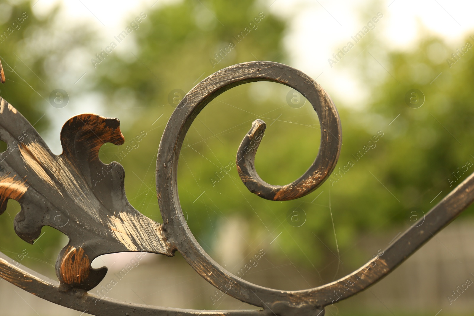 Photo of Cobweb on wrought iron fence scrolls outdoors, closeup