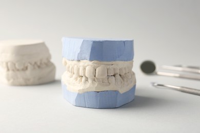 Dental models with gums and dentist tools on gray background. Cast of teeth