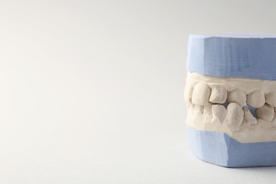 Photo of Dental model with gums on gray background, closeup and space for text. Cast of teeth