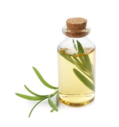 Bottle of rosemary essential oil isolated on white