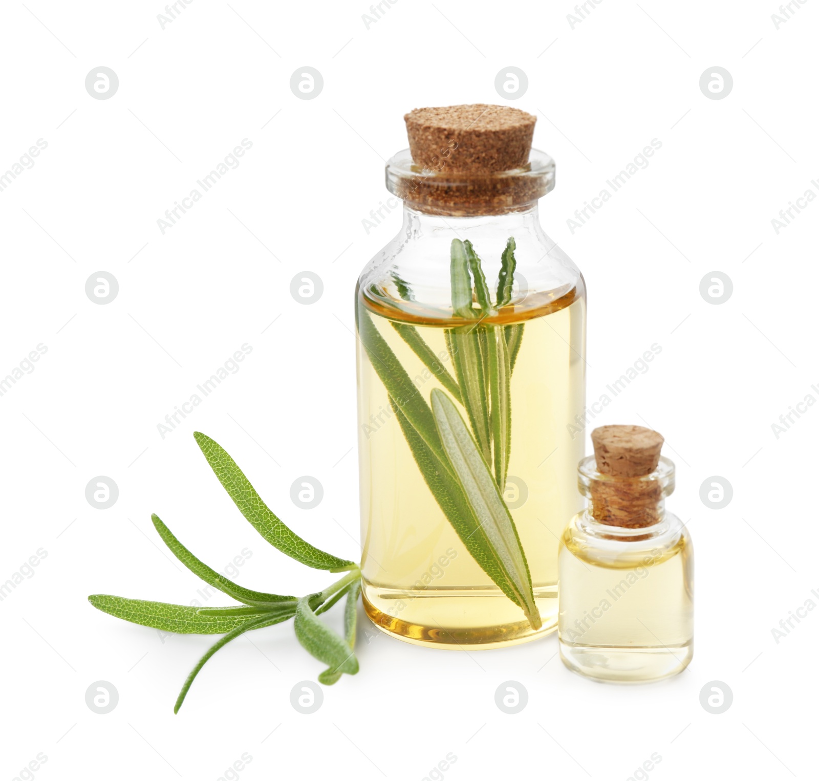 Photo of Bottles of rosemary essential oil isolated on white