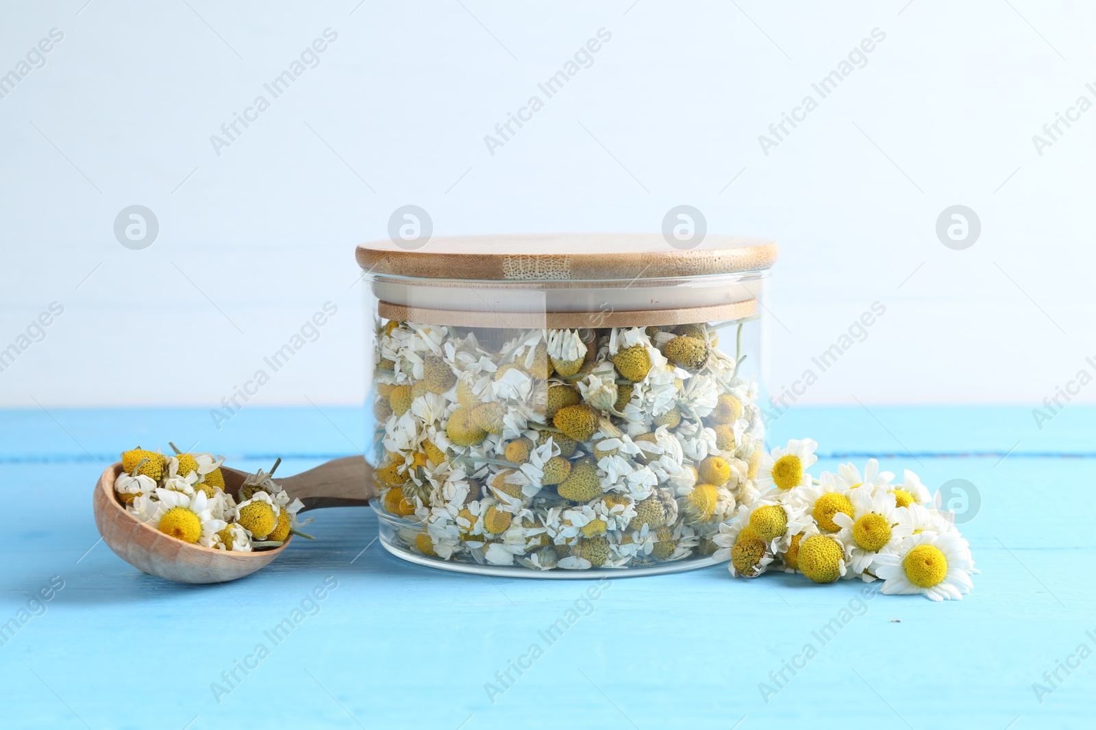 Photo of Dry and fresh chamomile flowers on light blue wooden table