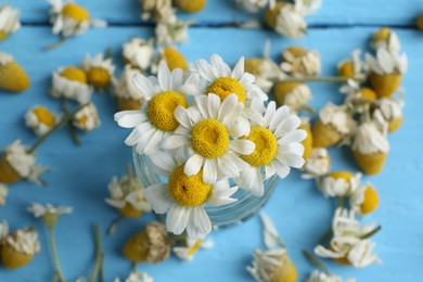 Photo of Chamomile flowers in glass jar on light blue table, closeup