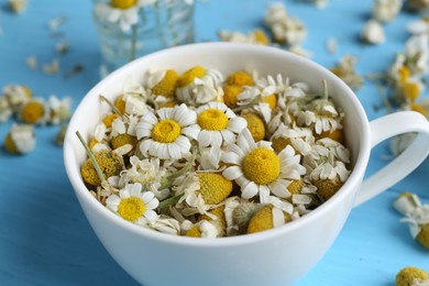 Photo of Dry and fresh chamomile flowers in cup on light blue table, closeup