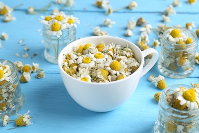 Photo of Dry and fresh chamomile flowers on light blue wooden table