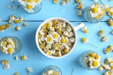 Photo of Dry and fresh chamomile flowers on light blue wooden table, flat lay