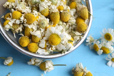 Photo of Dry and fresh chamomile flowers in sieve on light blue table, closeup