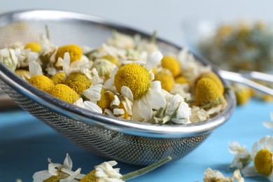 Photo of Dry and fresh chamomile flowers in sieve on light blue table, closeup