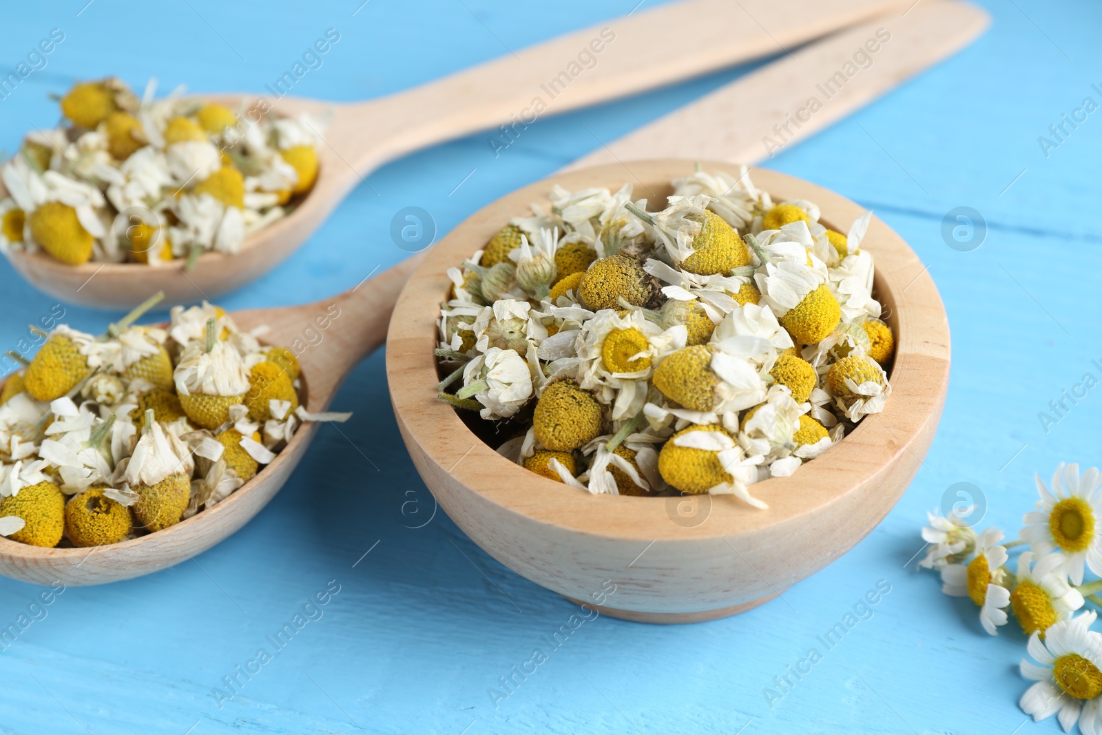 Photo of Chamomile flowers on light blue wooden table