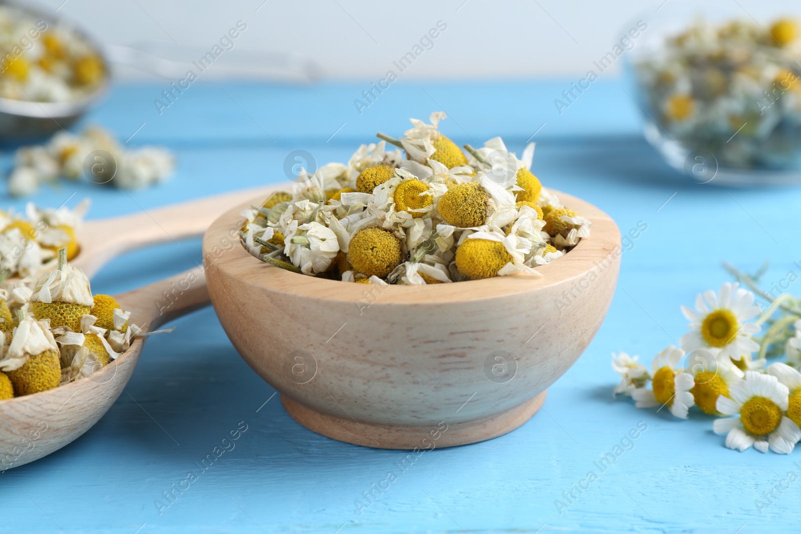 Photo of Chamomile flowers on light blue wooden table, closeup