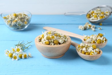 Photo of Dry and fresh chamomile flowers on light blue wooden table