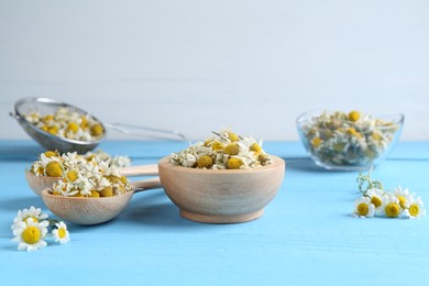 Photo of Dry and fresh chamomile flowers on light blue wooden table