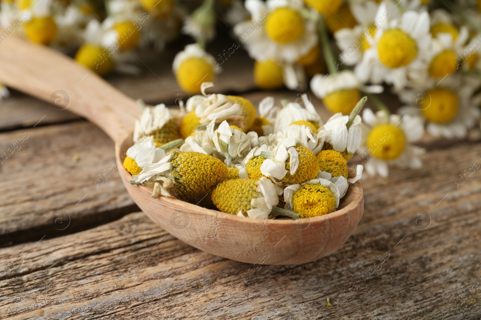 Photo of Chamomile flowers in spoon on wooden table, closeup