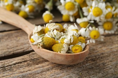 Photo of Chamomile flowers in spoon on wooden table, closeup