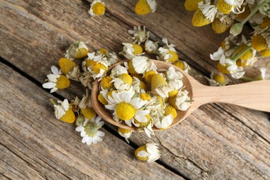 Photo of Dry and fresh chamomile flowers in spoon on wooden table, top view