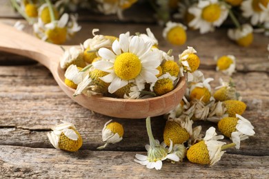 Photo of Spoon with dry and fresh chamomile flowers on wooden table, closeup