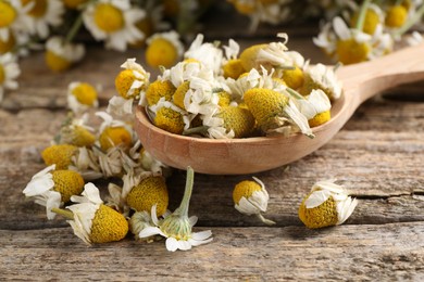 Photo of Chamomile flowers and spoon on wooden table, closeup