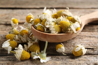 Photo of Chamomile flowers and spoon on wooden table, closeup