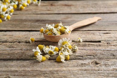 Photo of Spoon with dry and fresh chamomile flowers on wooden table