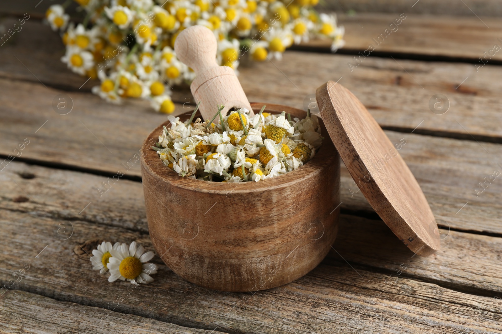 Photo of Dry and fresh chamomile flowers with scoop in bowl on wooden table