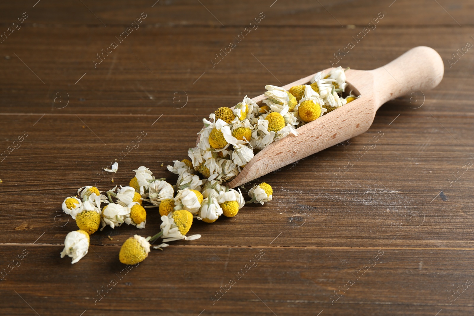 Photo of Chamomile flowers and scoop on wooden table