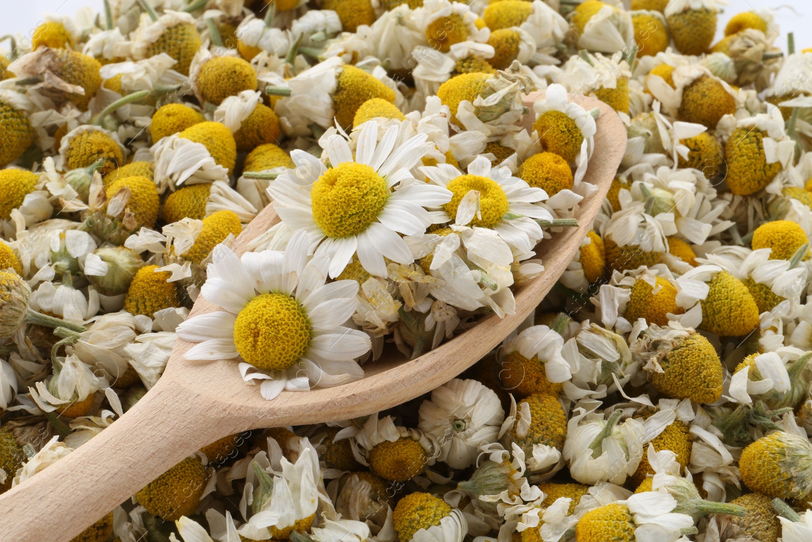 Photo of Wooden spoon on fresh and dry chamomile flowers, closeup