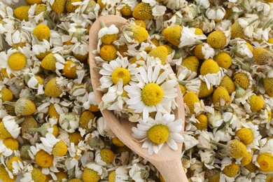 Photo of Wooden spoon on fresh and dry chamomile flowers, top view