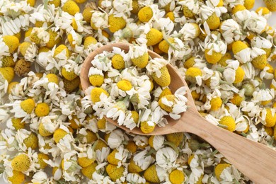 Wooden spoon on chamomile flowers, top view