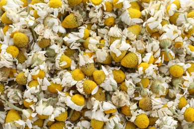 Natural chamomile flowers as background, top view