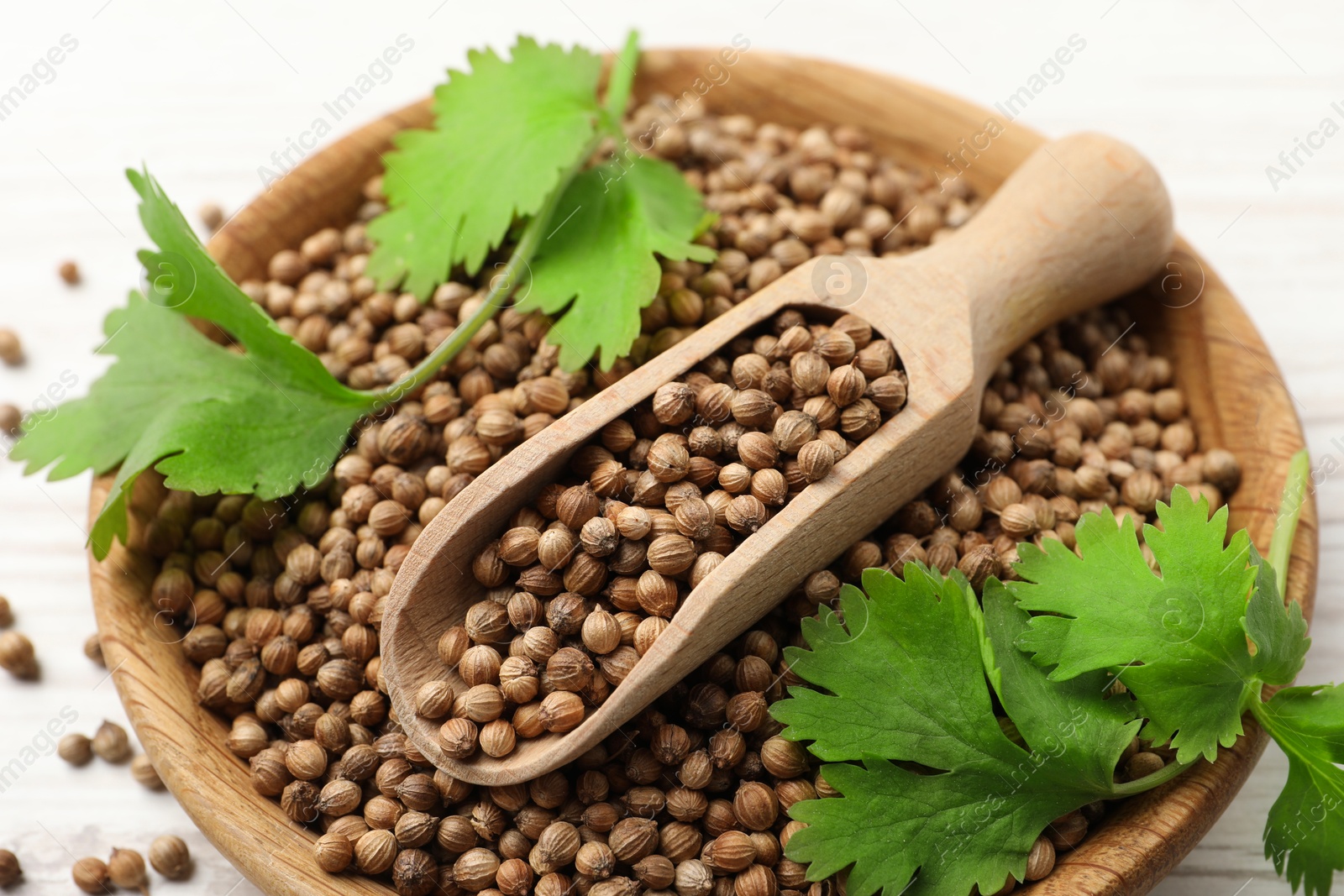 Photo of Dried coriander seeds with green leaves in bowl and scoop on table, closeup