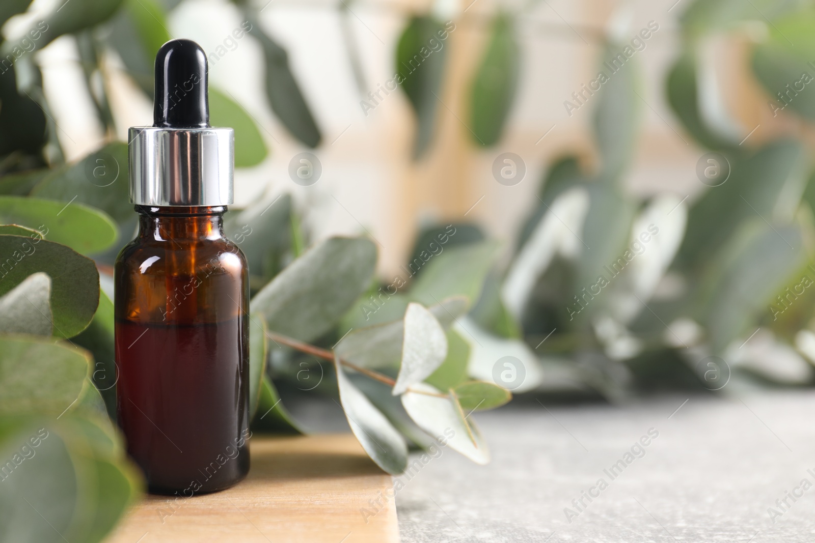 Photo of Aromatherapy. Bottle of essential oil and eucalyptus leaves on grey table, space for text
